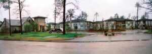 Mallard Panorama (Before)